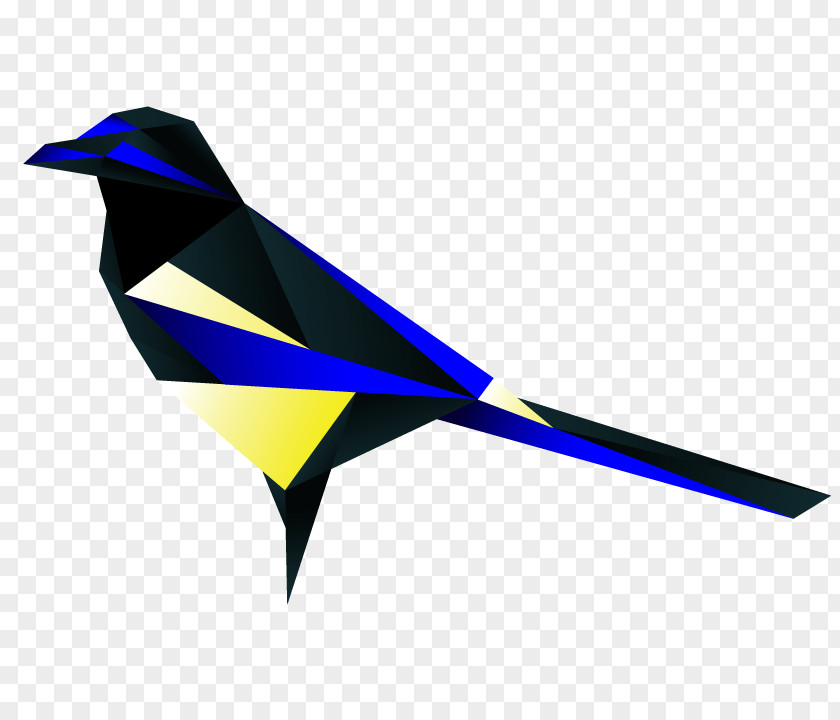 Bird Australian Magpie A Tiding Of Magpies The Forgotten Grimoire PNG