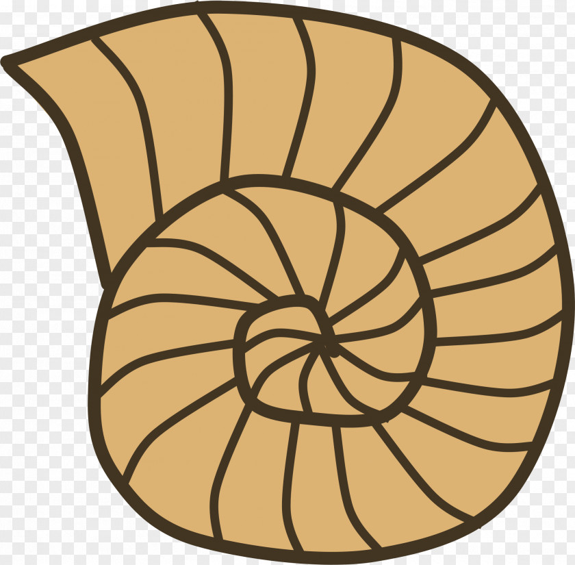 Ocean House Cliparts Seashell Sea Snail Gastropod Shell Clip Art PNG