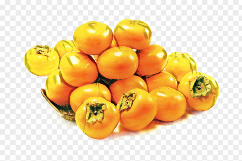 Persimmon Tomato Trees Cartoon PNG