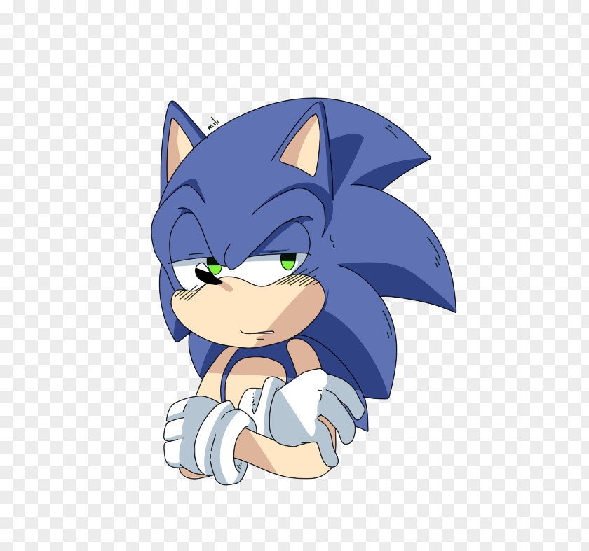 Sonic The Hedgehog Tails Shadow Work Of Art PNG