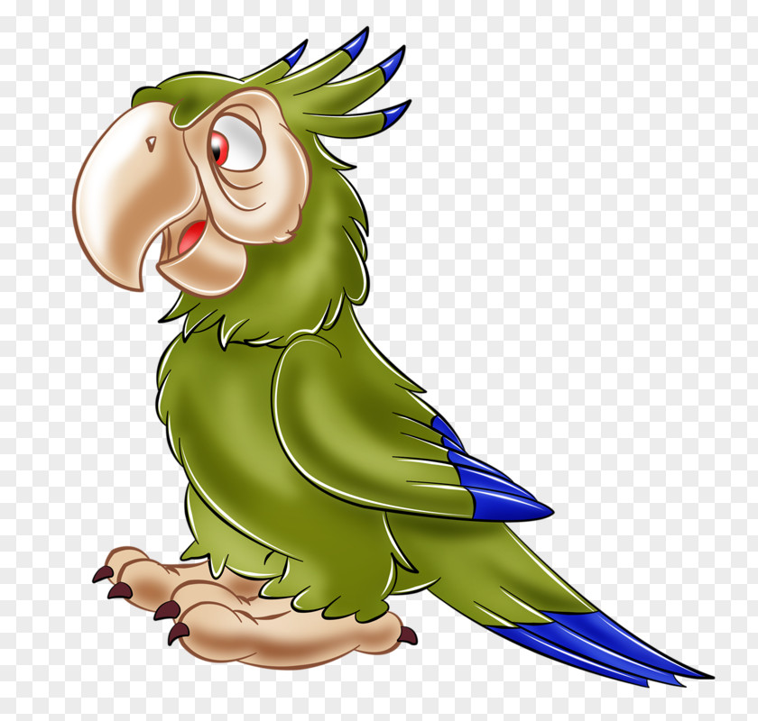 Bird Budgerigar Clip Art Parakeet PNG