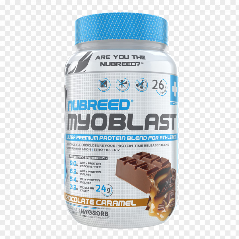 Dietary Supplement Myoblast Protein Branched-chain Amino Acid Muscle PNG