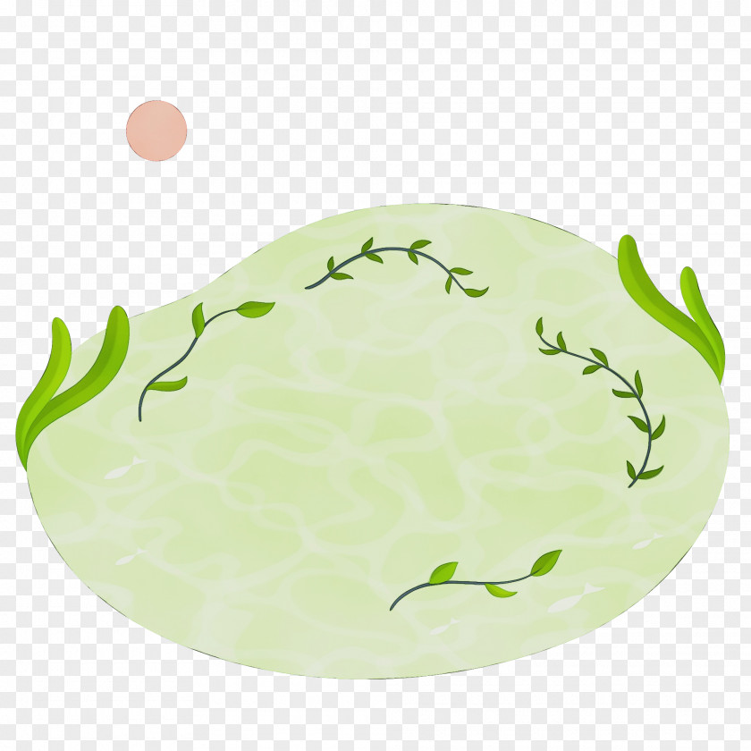 Platter Leaf Oval Green Science PNG