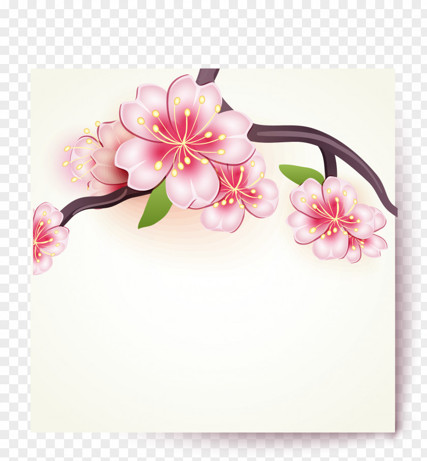 Sakura Flowers Card Vector Material Paper Cherry Blossom PNG