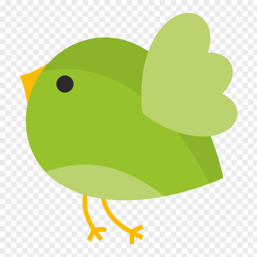 And Bird PNG