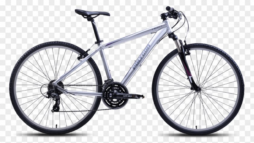 Bicycle Shop Mountain Bike Hybrid Polygon Bikes PNG