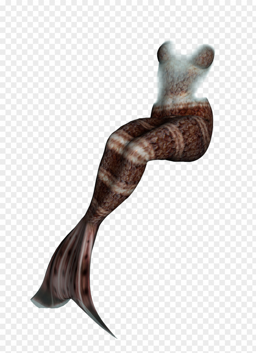 Brown Beautiful Mermaid Tail Download Computer File PNG