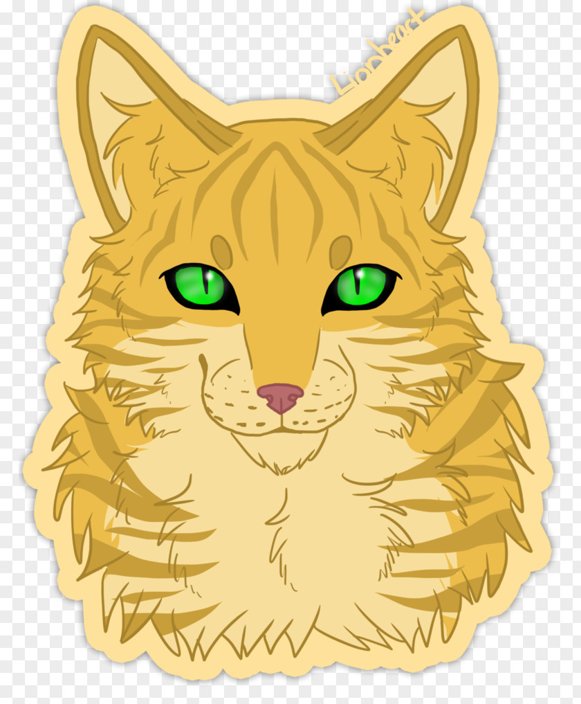 Kitten Tabby Cat Whiskers Domestic Short-haired Wildcat PNG