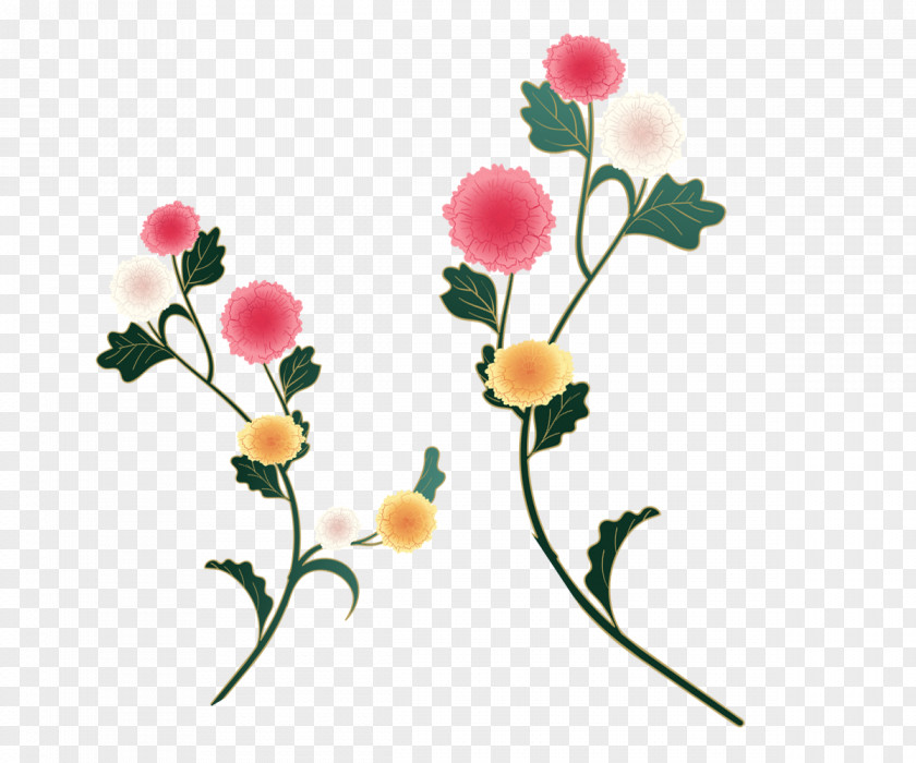 MAK Chrysanthemum Euclidean Vector PNG