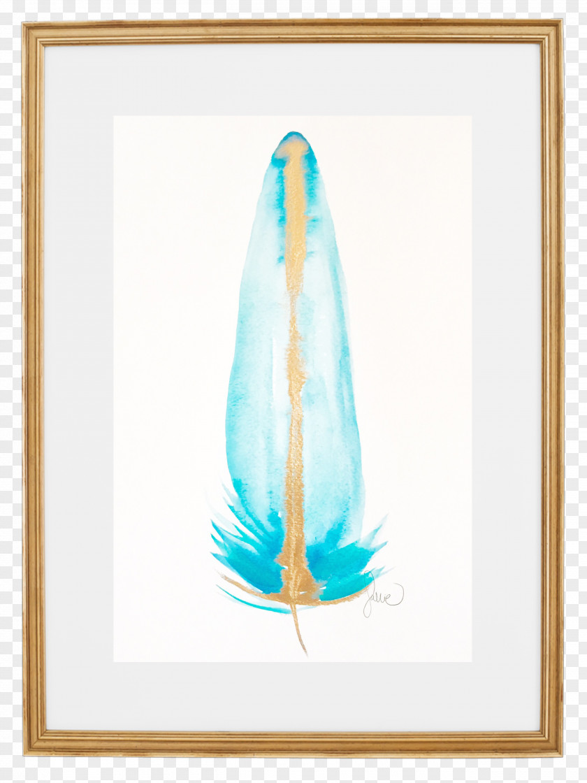Feather Picture Frames PNG