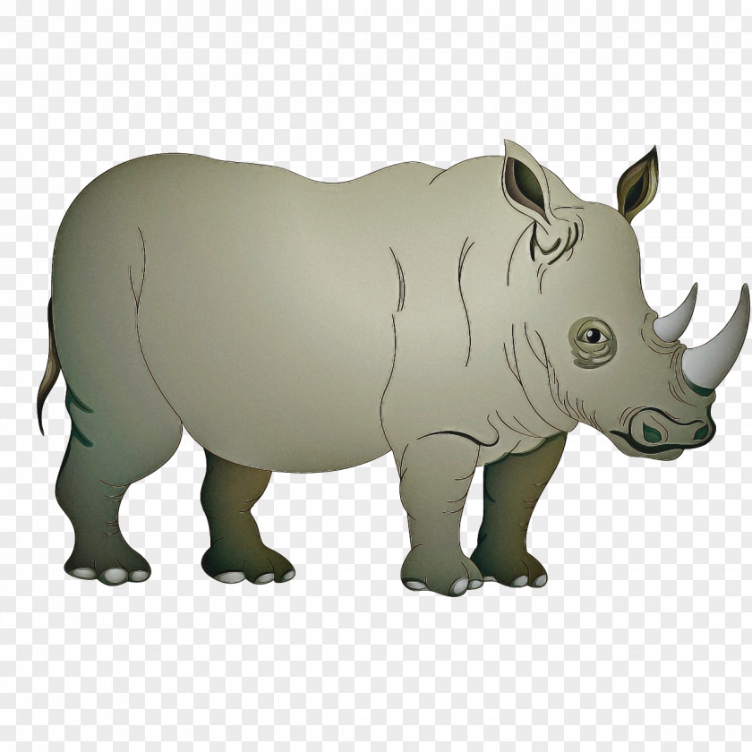Horn Sumatran Rhinoceros Animal Cartoon PNG