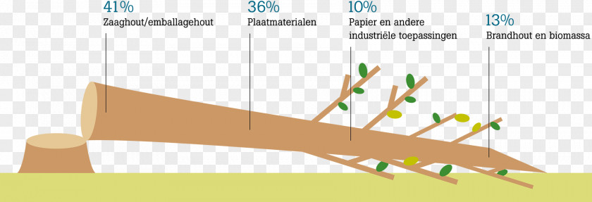 Wood Paper Hollandse Hout Meter Unit Of Measurement PNG
