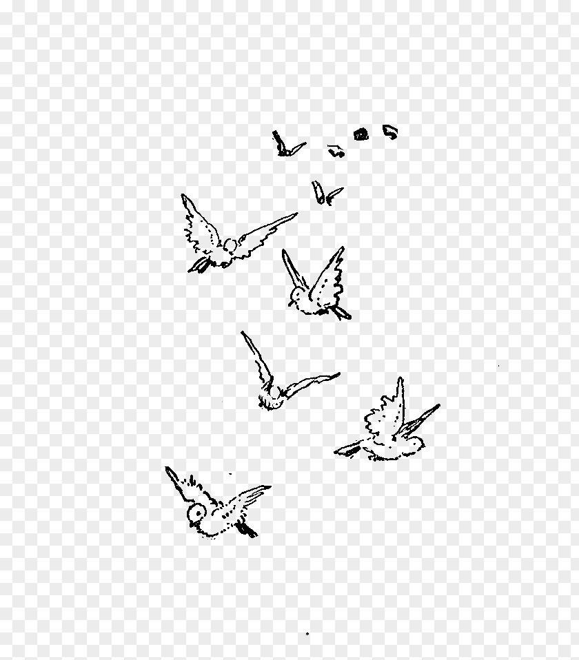 Flock Of Birds Bird Flight Sparrow Drawing PNG