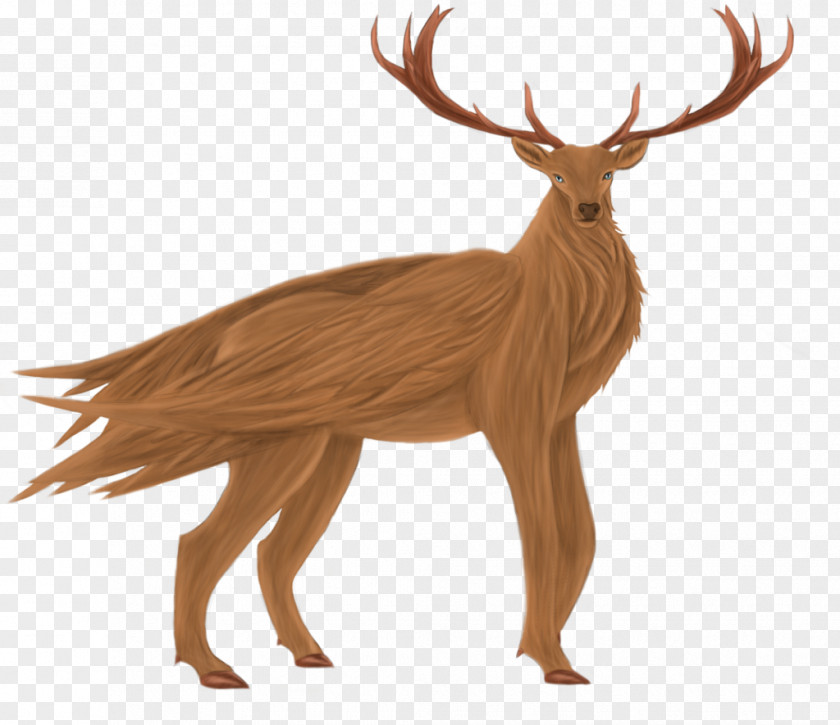 Reindeer Elk White-tailed Deer Antler PNG