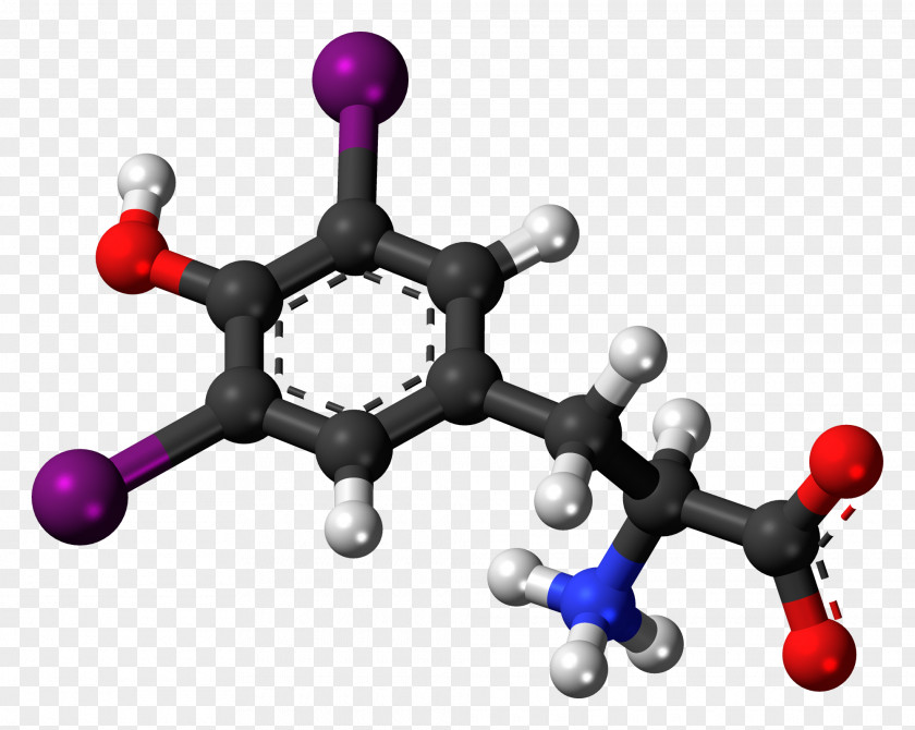 Thyroidstimulating Hormone Diiodotyrosine Thyroid Hormones Amino Acid PNG