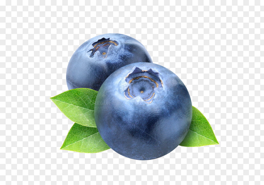 Blueberry Photos Frutti Di Bosco Clip Art PNG