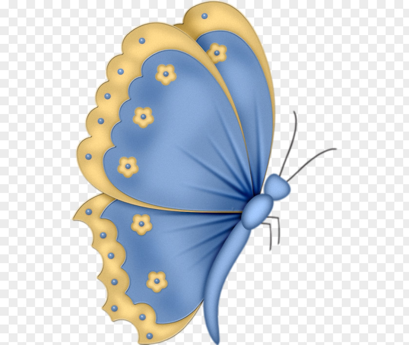 Butterfly Monarch Insect Glasswing Clip Art PNG
