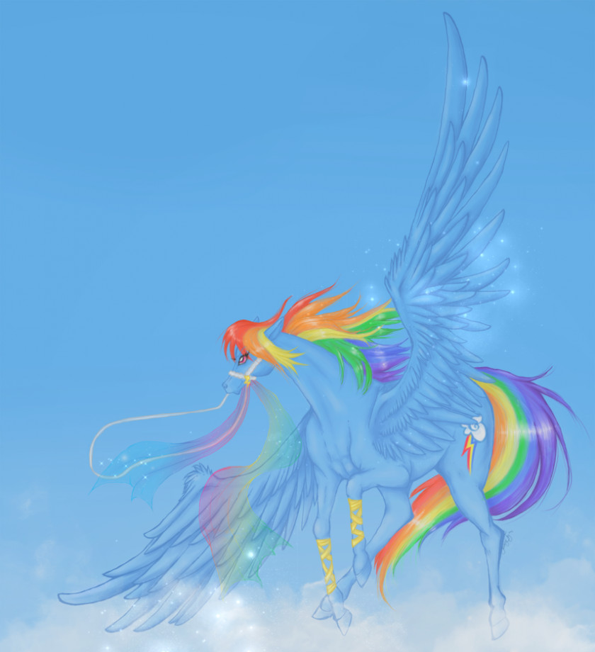 Carousel Rainbow Dash Fluttershy My Little Pony Horse PNG