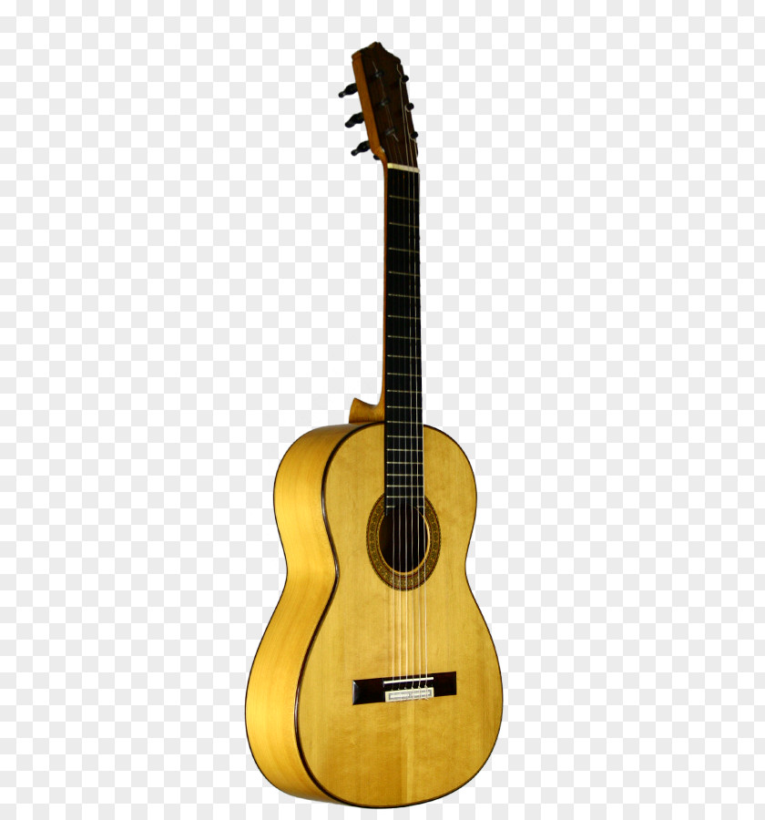 Duran Acoustic Guitar Classical Acoustic-electric Cutaway PNG