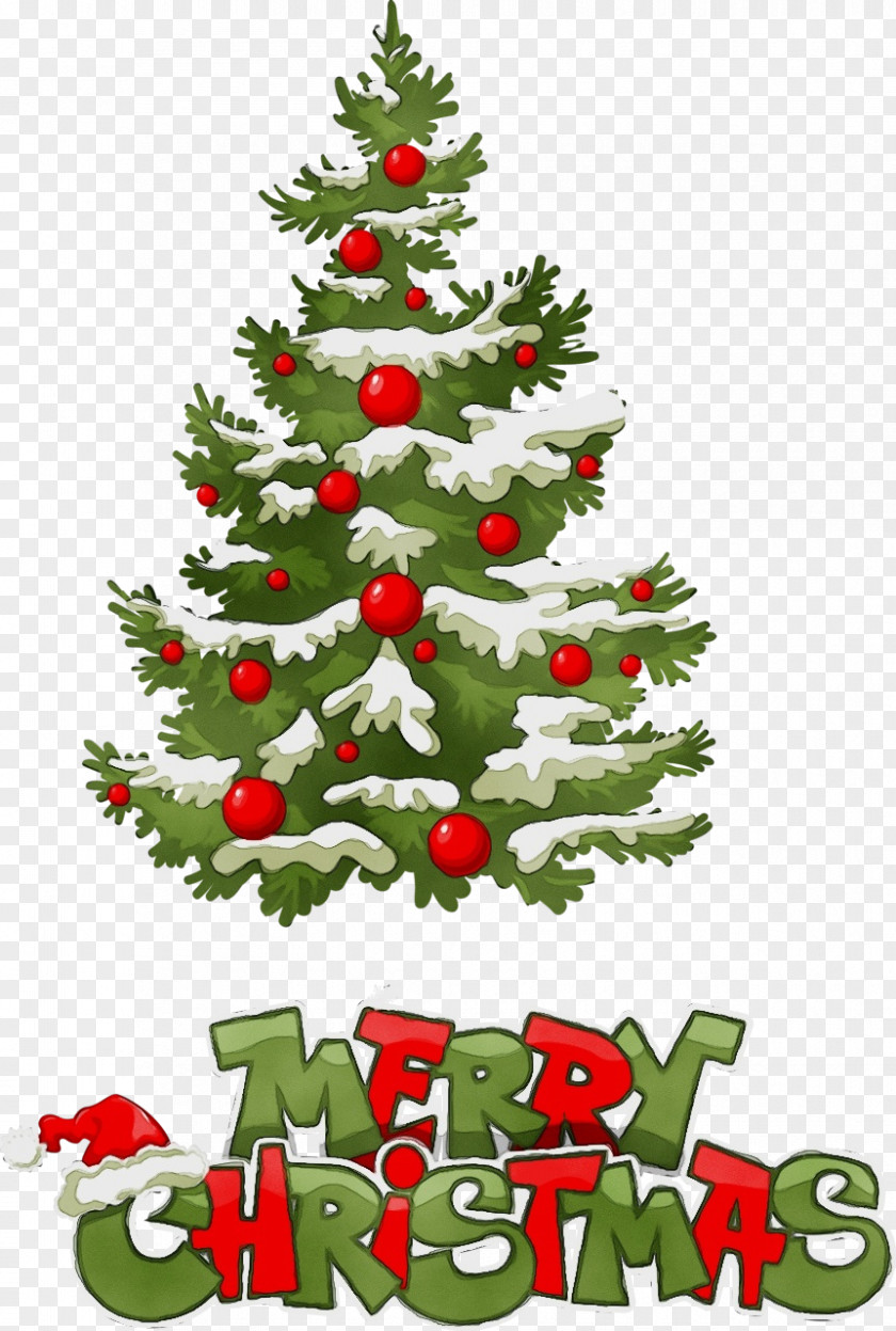 Holiday Ornament Plant Christmas Decoration PNG