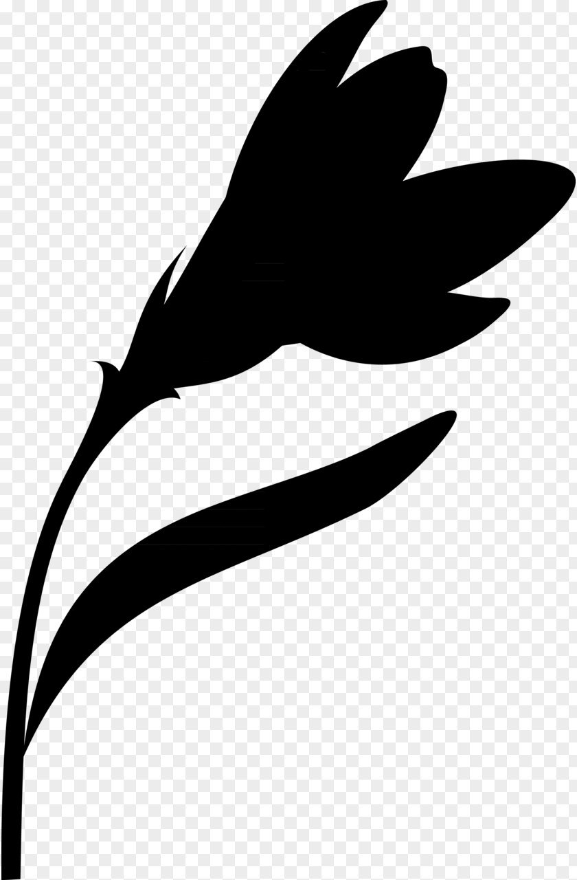 Leaf Clip Art Plant Stem Flower Silhouette PNG