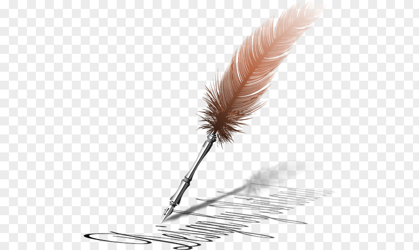 Pen Quill Feather Paper PNG