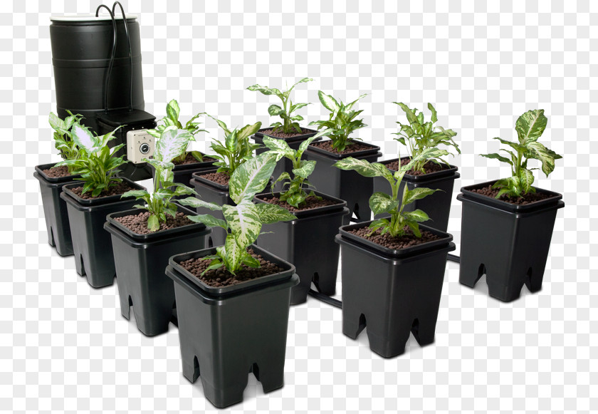 Pot Plant Ebb And Flow Dutchman Hydroponics Deep Water Culture Flowerpot PNG