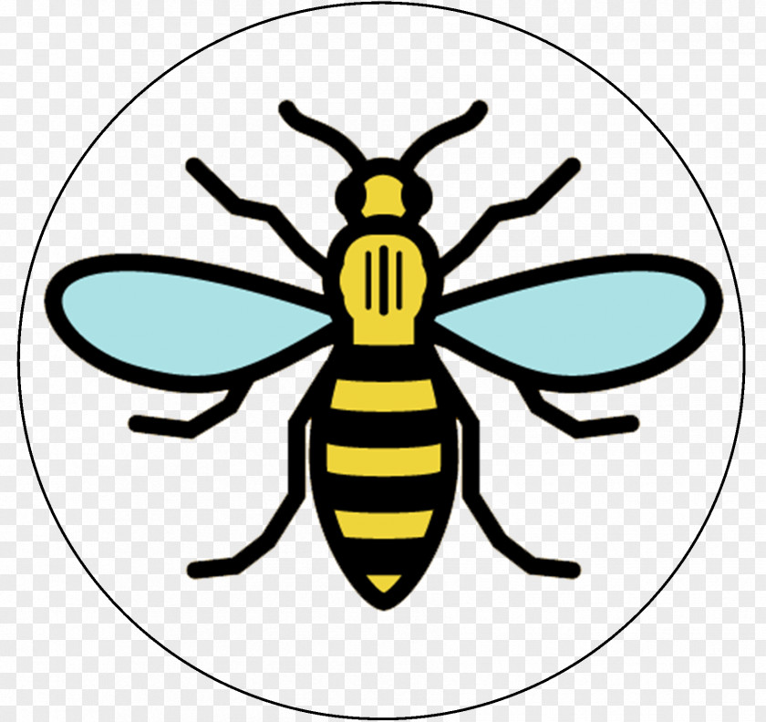 Bees Manchester Storm Worker Bee Symbols Of PNG