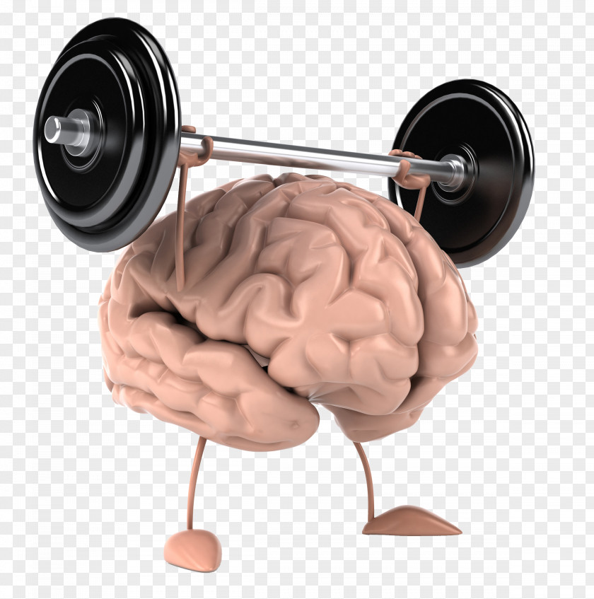 Brain Cognitive Training Neurofeedback Physical Exercise PNG