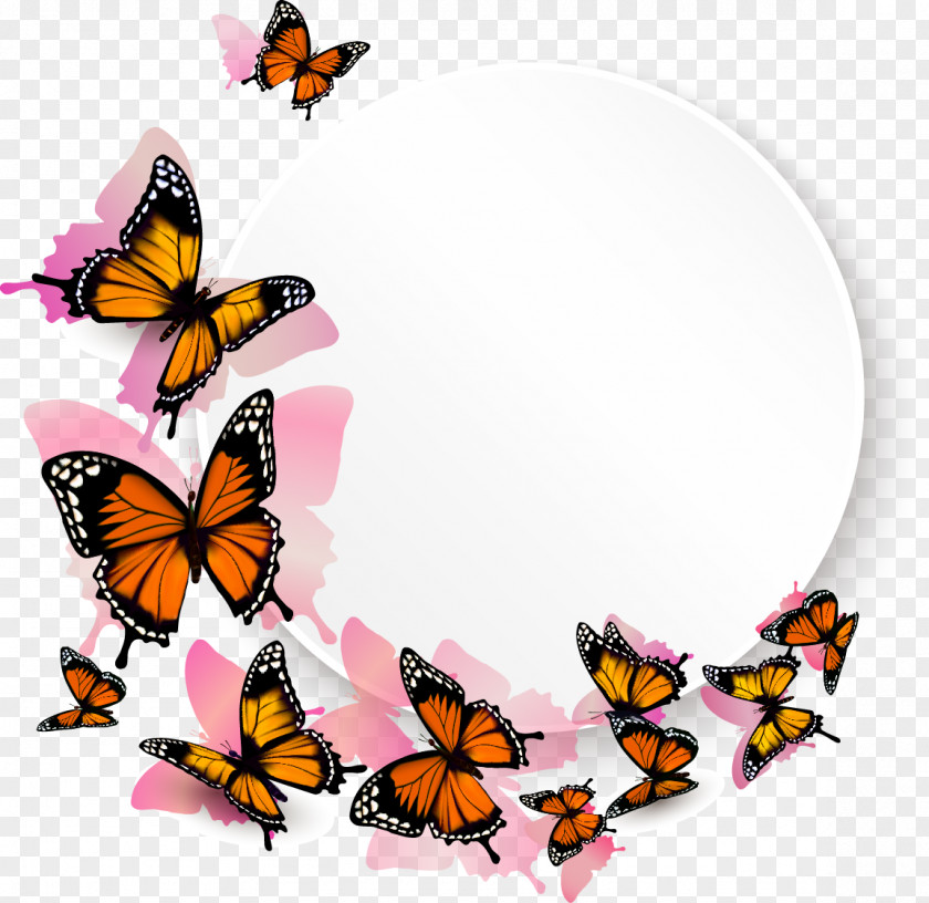 Butterfly Clip Art PNG