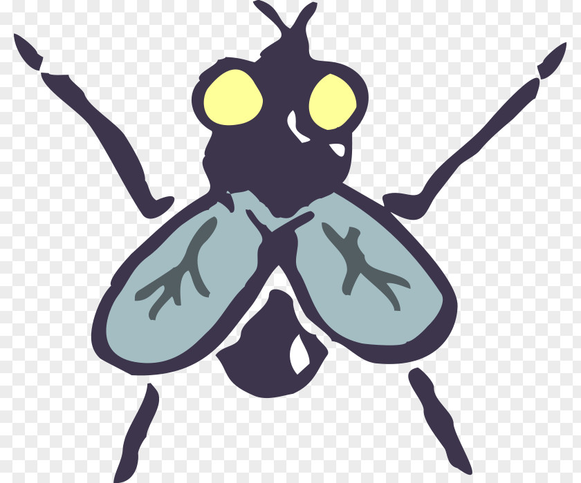 Free Insect Photos Cricket Clip Art PNG