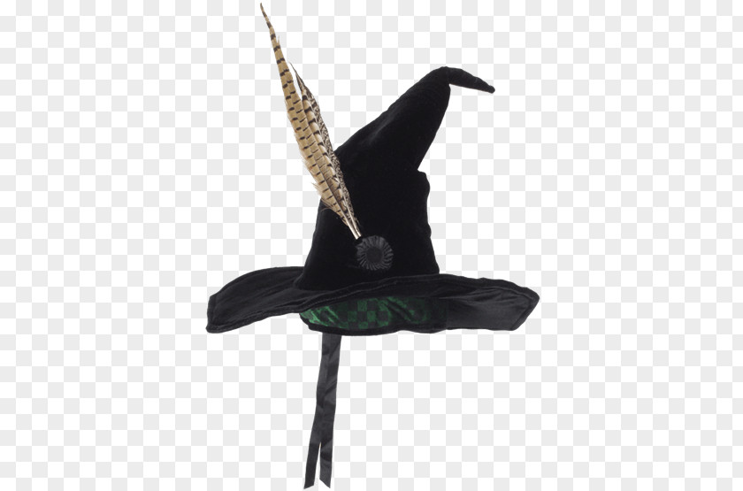 Hat Professor Minerva McGonagall Witch Rubeus Hagrid Harry Potter PNG