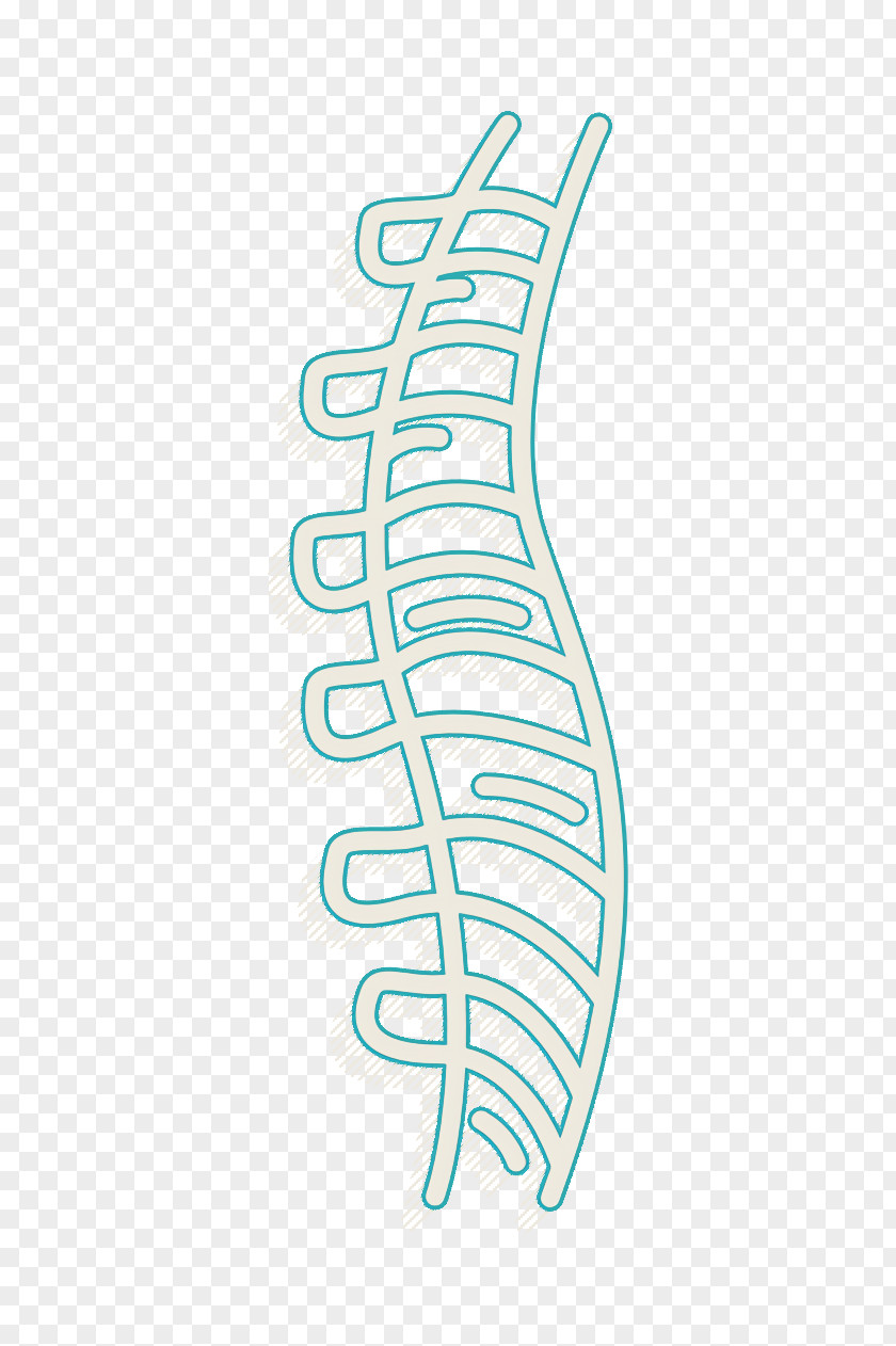Bones Icon Human Body Parts Spine PNG