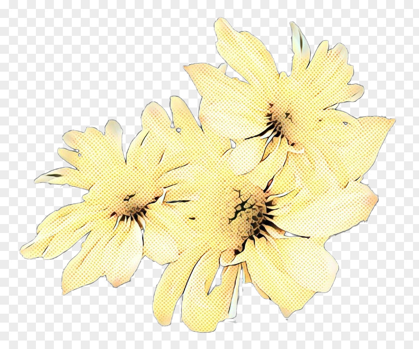 Chrysanthemum Cut Flowers Floristry Flower Bouquet PNG