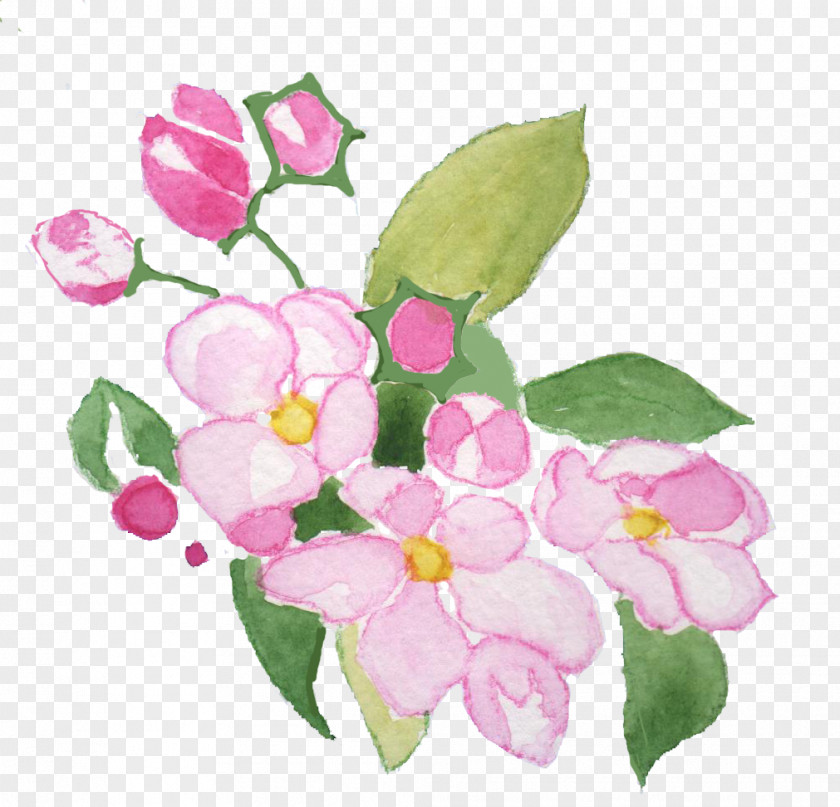 Flower Floral Design Cut Flowers Rose Family Petal PNG