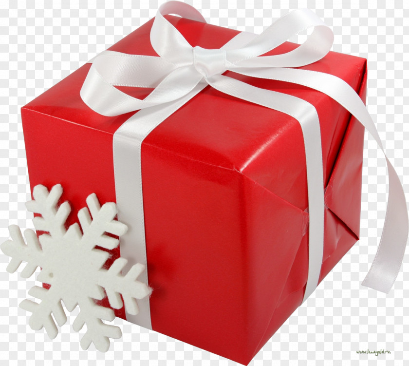 Gift Christmas And Holiday Season PNG