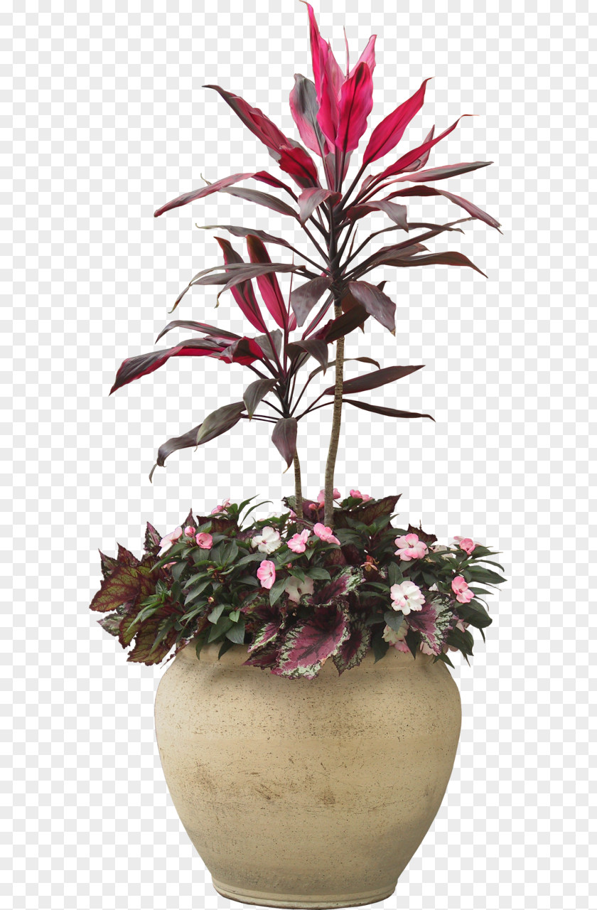 Plant Fiddle-leaf Fig Houseplant Flowerpot Palm Trees PNG