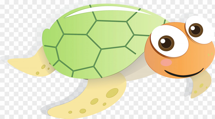 Tortoise Turtle Cartoon Green Sea PNG