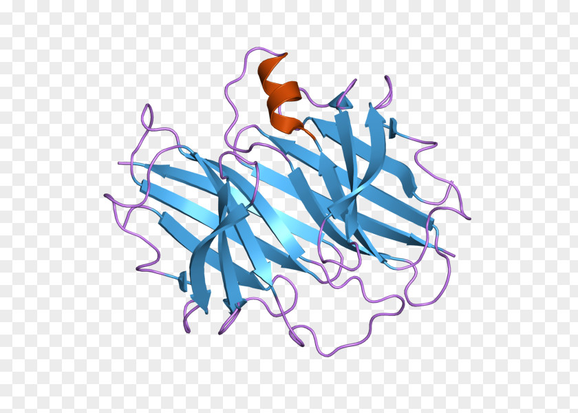 Transthyretin RNA Interference Thyroid Hormones Retinol-binding Protein Gene PNG