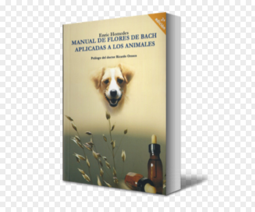 Cat Bach Flower Remedies Dog Breed Therapy PNG
