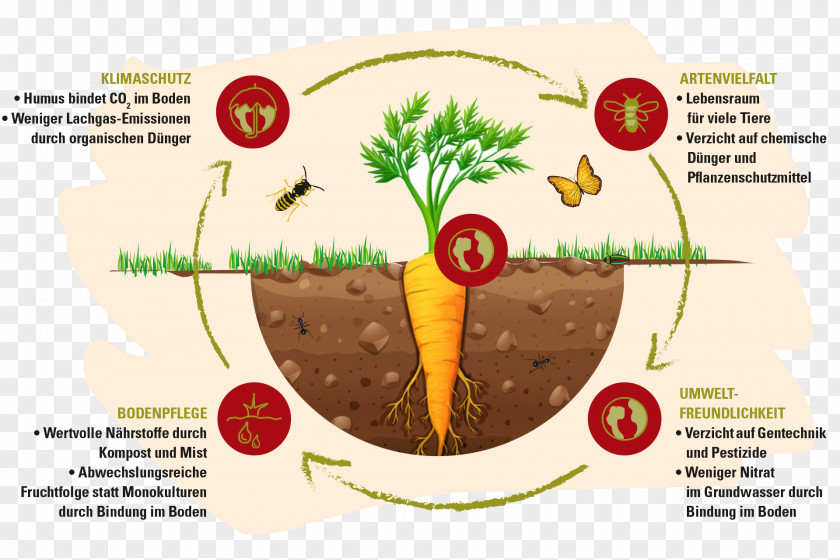 Demeter Organic Food Farming Biodynamic Agriculture Crop Rotation PNG