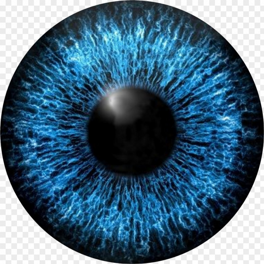 Eye Iris Vector Graphics Pupil Human PNG