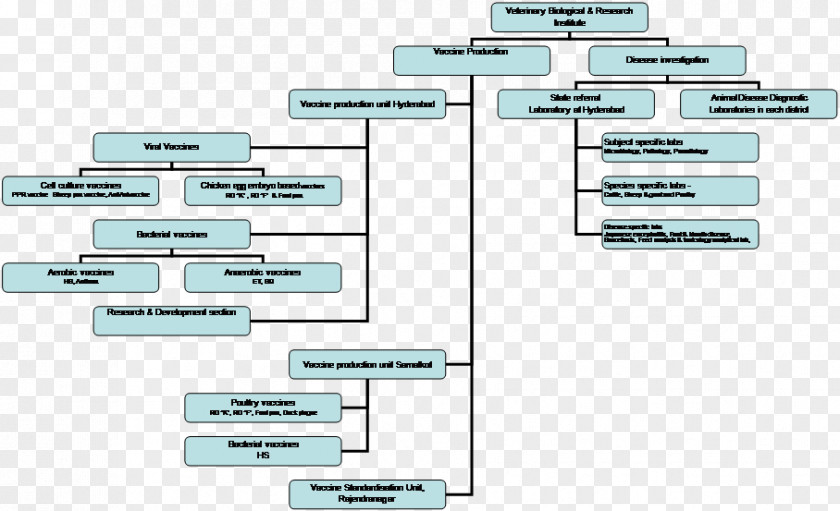 Pathology Lab Organizational Chart Flowchart Research PNG