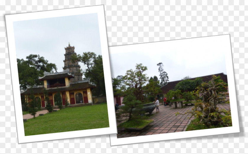 Window Pagoda Of The Celestial Lady Property Roof Tree PNG