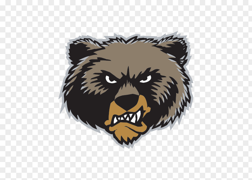 Bear Memphis Grizzlies Vancouver Montana Football Grizzly PNG