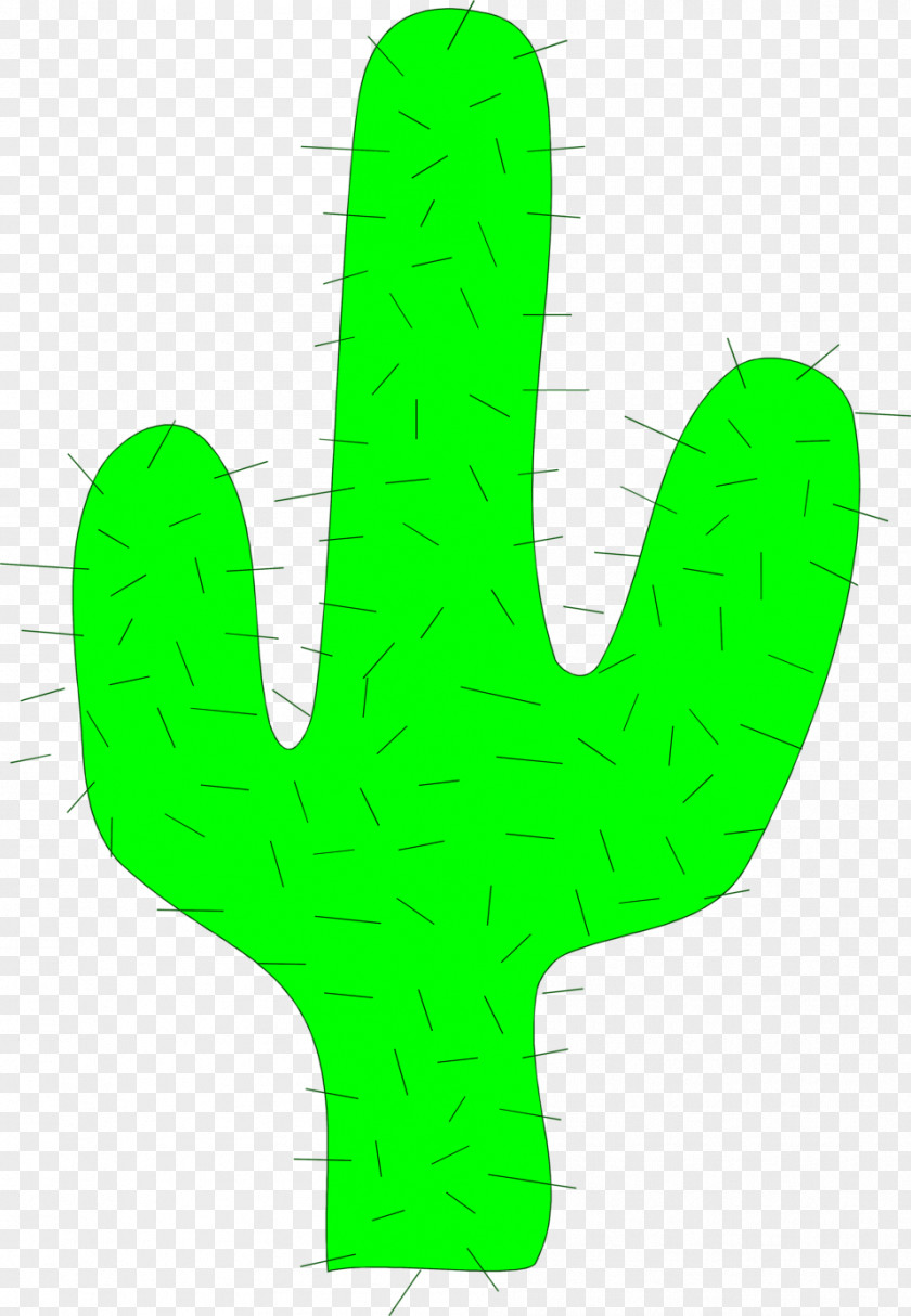 Cactus Background Cactaceae Saguaro Clip Art PNG