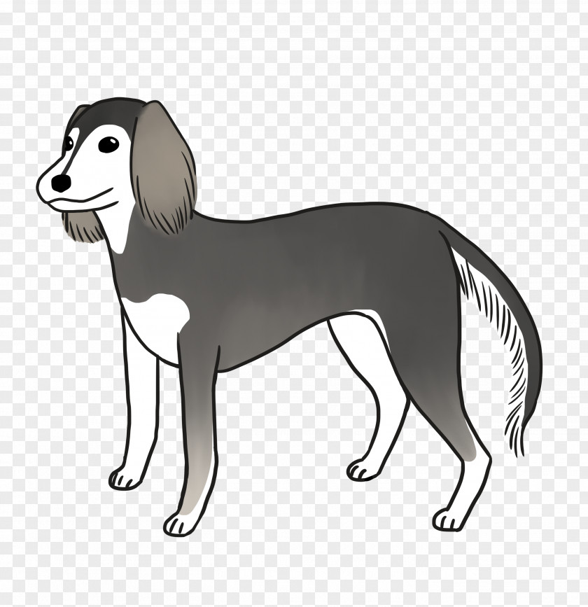 COO Dog Breed Saluki Italian Greyhound Companion PNG