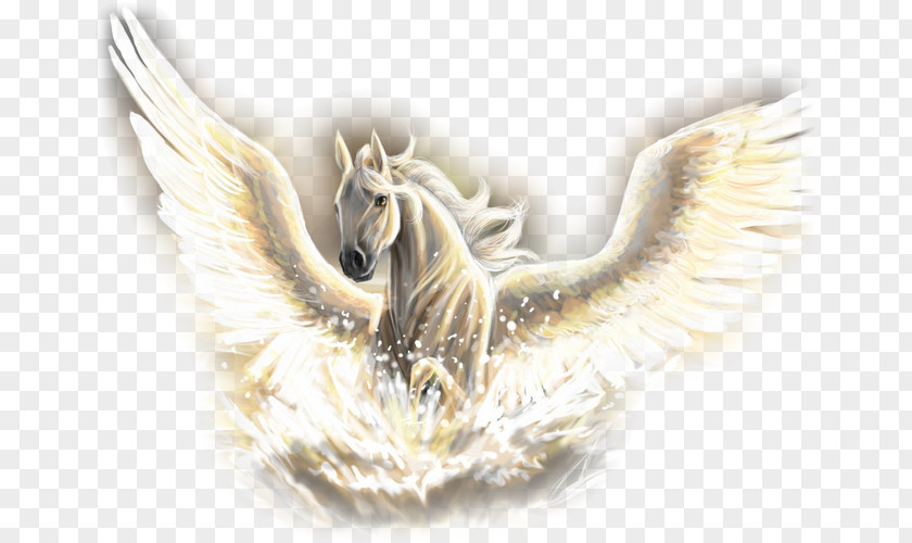 Horse Pegasus Poseidon Legendary Creature Unicorn PNG