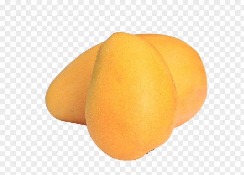 Mango Fruit Icon PNG