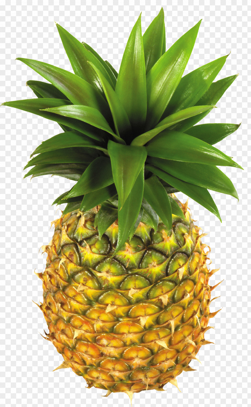 Pineapple Clipart Picture Upside-down Cake Fruit Clip Art PNG
